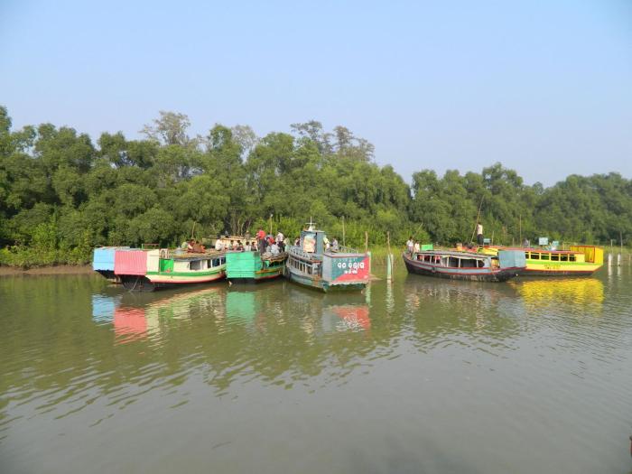 sandpebbles bhitarkanika jungle resorts