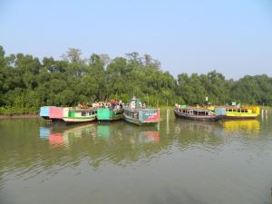 sandpebbles bhitarkanika jungle resorts