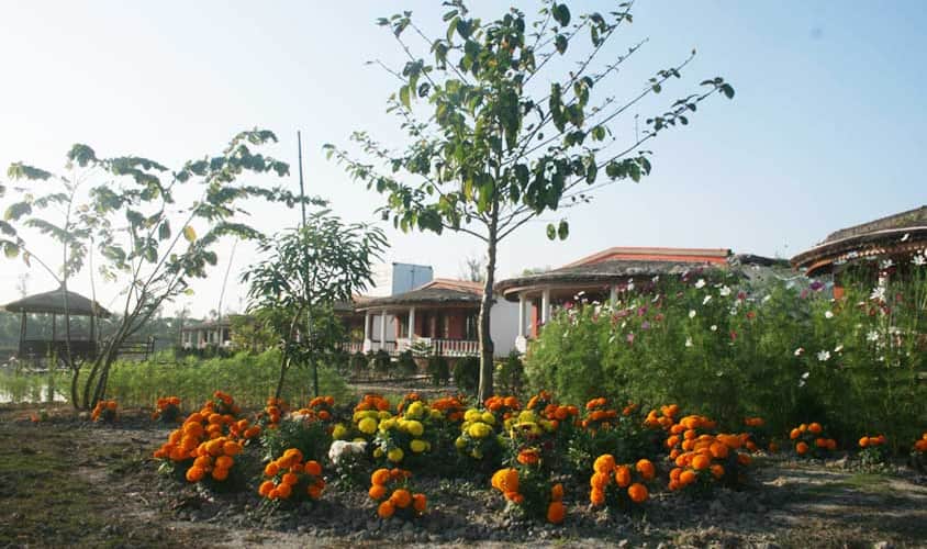 gosaba