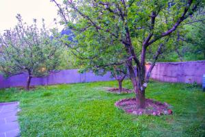 ride at hill nihal hotel and cottage