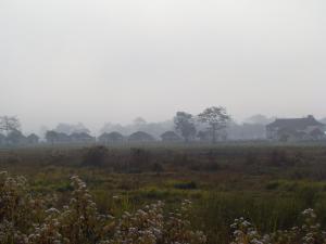 kaziranga