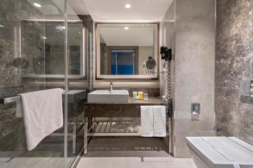 holiday inn kayseri duvenonu by ihg