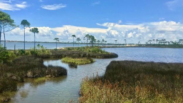 hotel indigo orange beach gulf shores by ihg