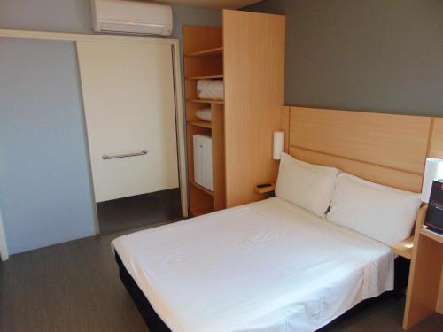 ibis arapiraca