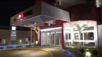 ibis arapiraca