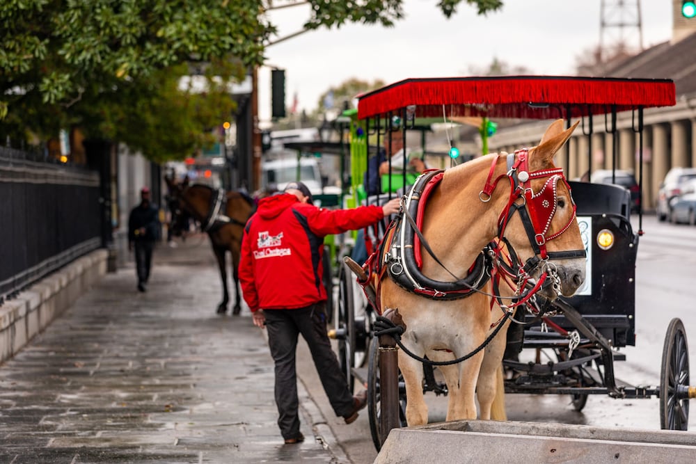 hotel de la monnaie french quarter