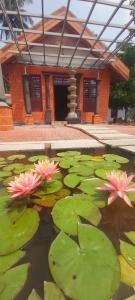 Cure Monastery,Devikolam>>Chinnakanal,2 star
