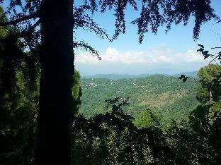 Mahal Farms Country Home,Kasauli>>Chandigarh,3 star
