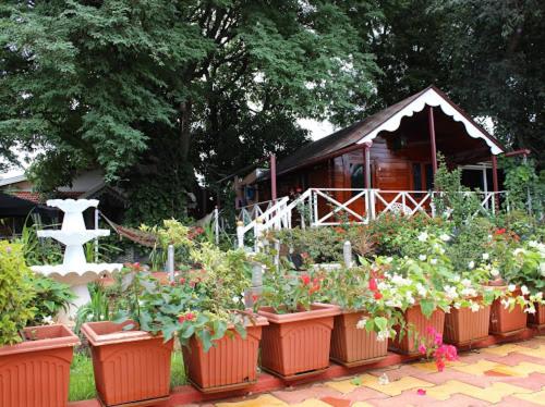 chikkamagaluru