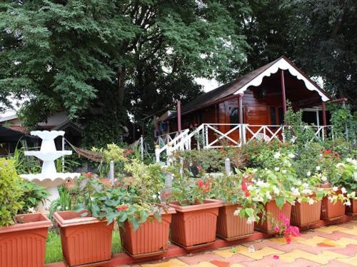 chikkamagaluru