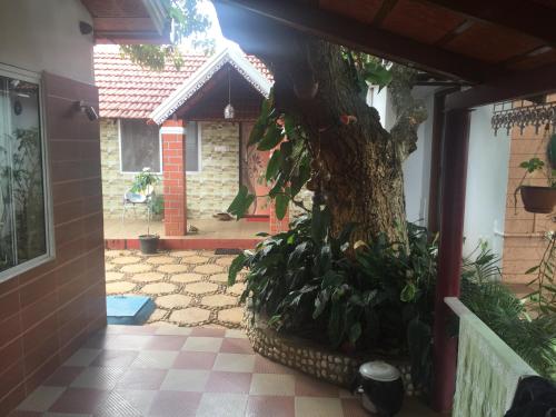 chikkamagaluru