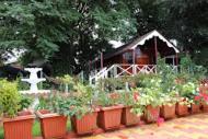chikkamagaluru