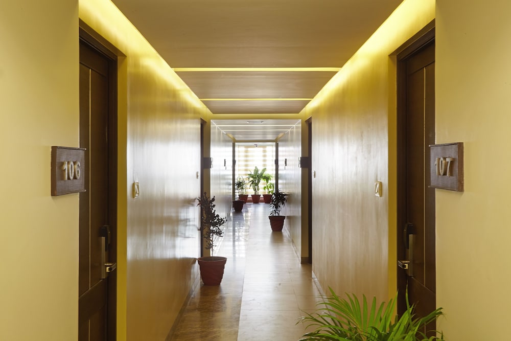 saravanas golden fruits business suites