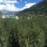 manali