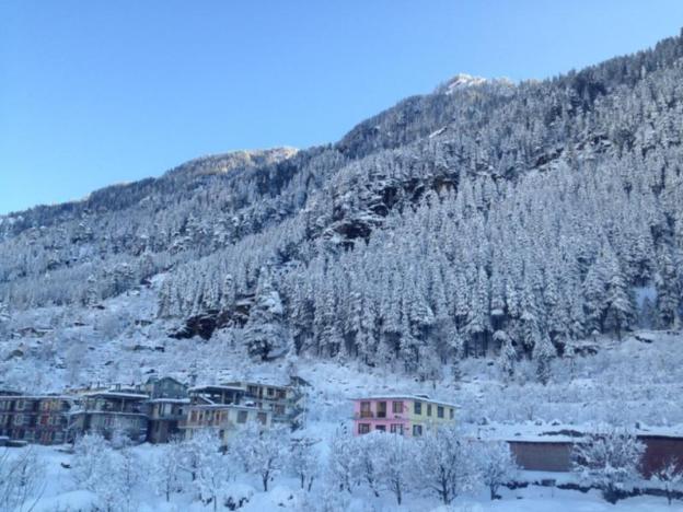 apple paradise manali hotel
