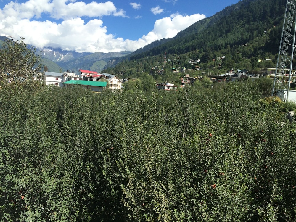 apple paradise manali hotel