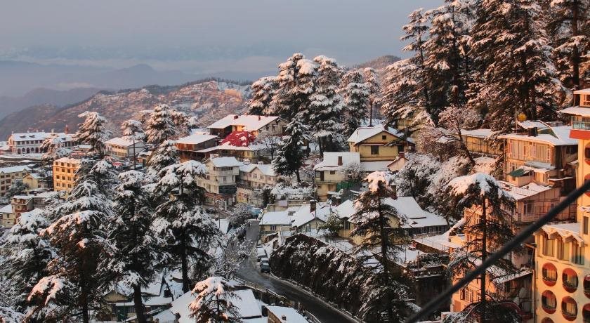shimla
