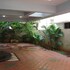 lloyds guest house krishna street t nagar