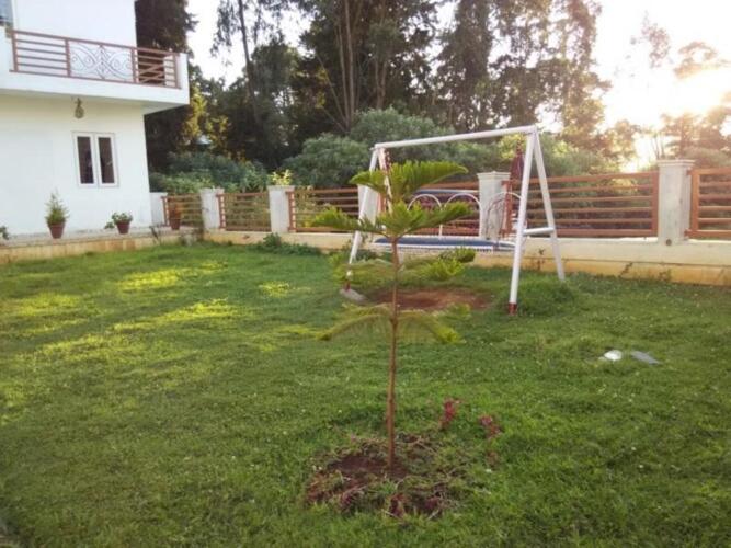 ooty