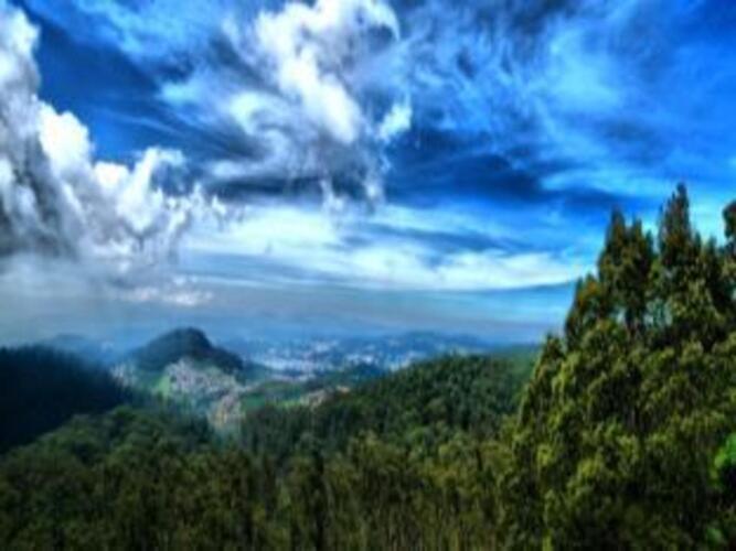 ooty