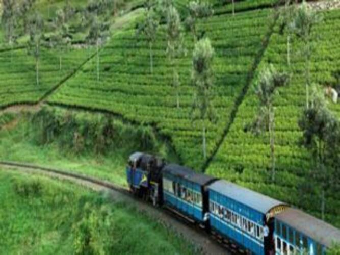 ooty
