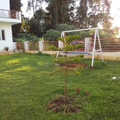 ooty