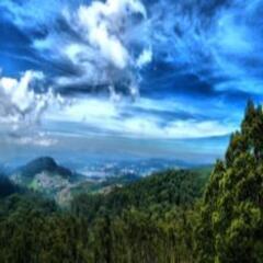 ooty