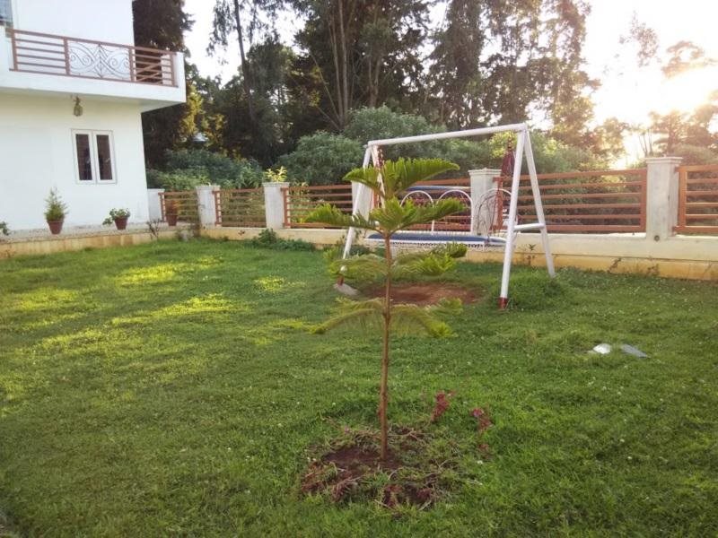 ooty