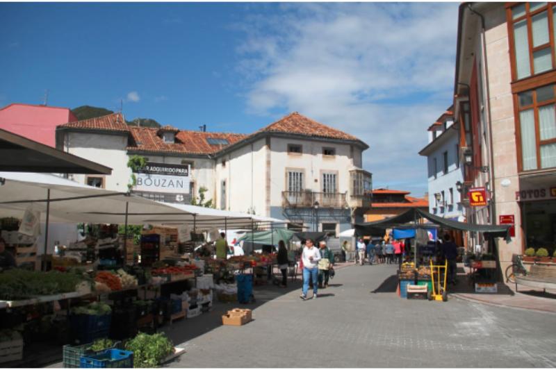 hotel y apartamentos san jorge