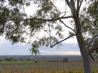 Blickinstal Barossa Valley Retreat,Barossa Valley>>Barossa,0 star