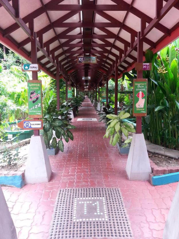 t star cottage