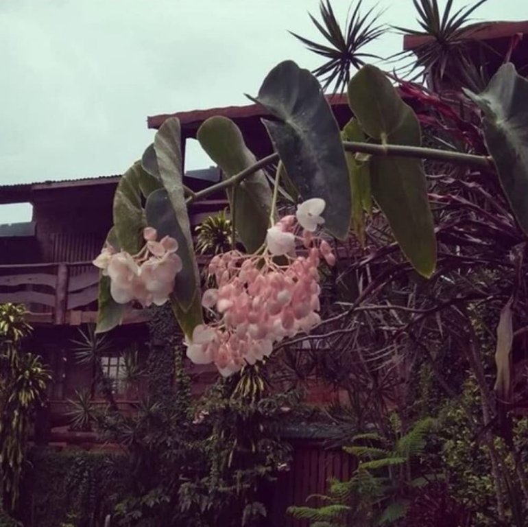 puerto iguazu