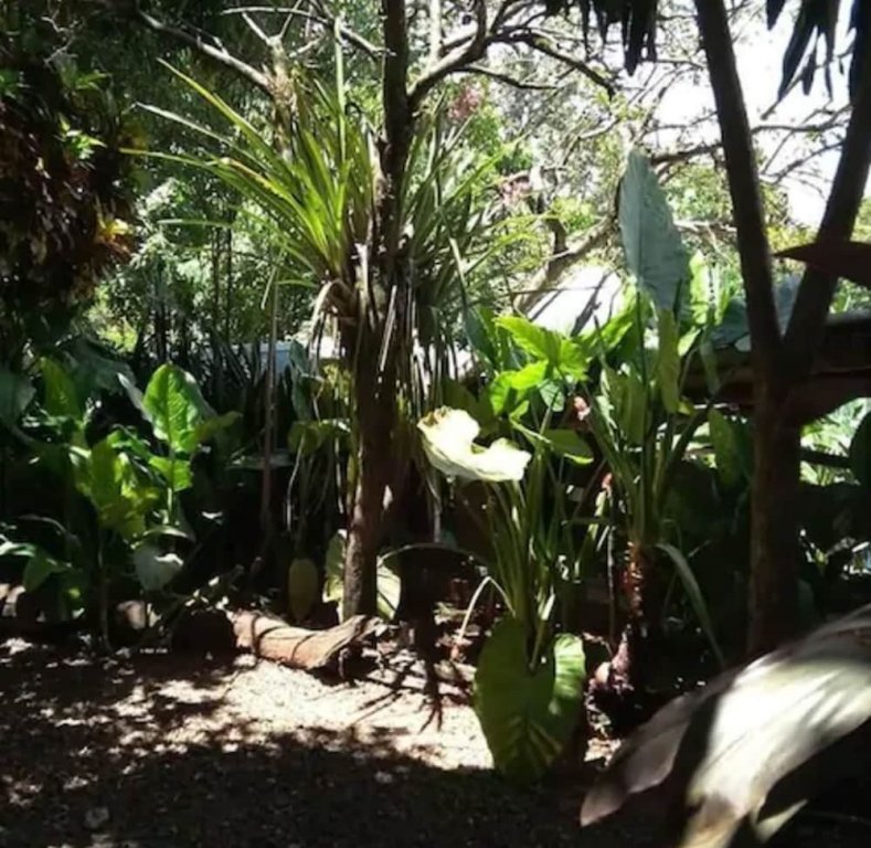 puerto iguazu
