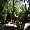 puerto iguazu