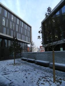 stuttgart