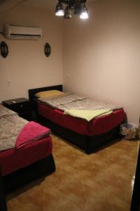 wake up cairo hostel