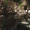 hotel cetus royal