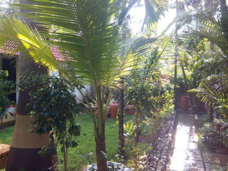 palolem beach