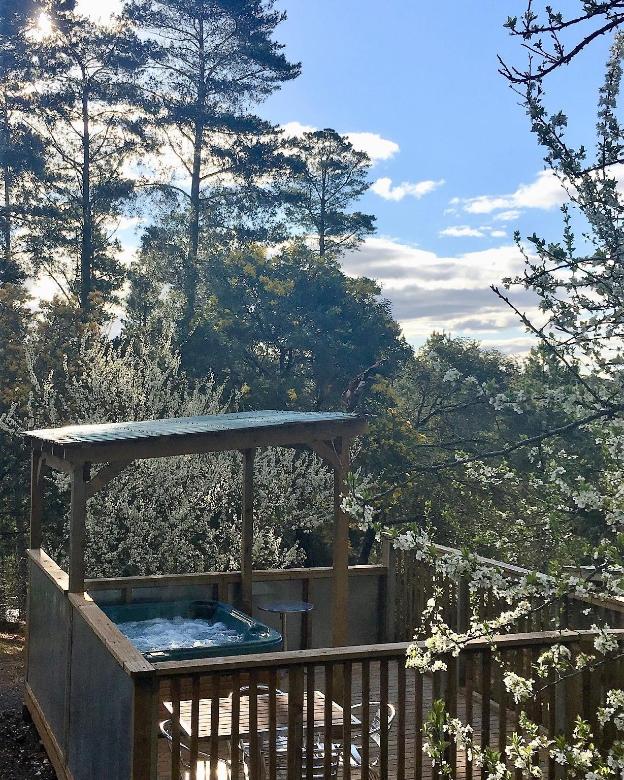 sutton spring art retreats