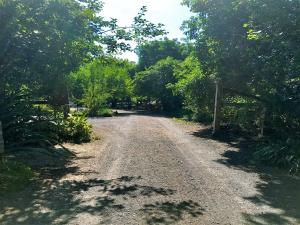 sutton spring art retreats