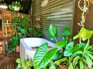 sutton spring art retreats