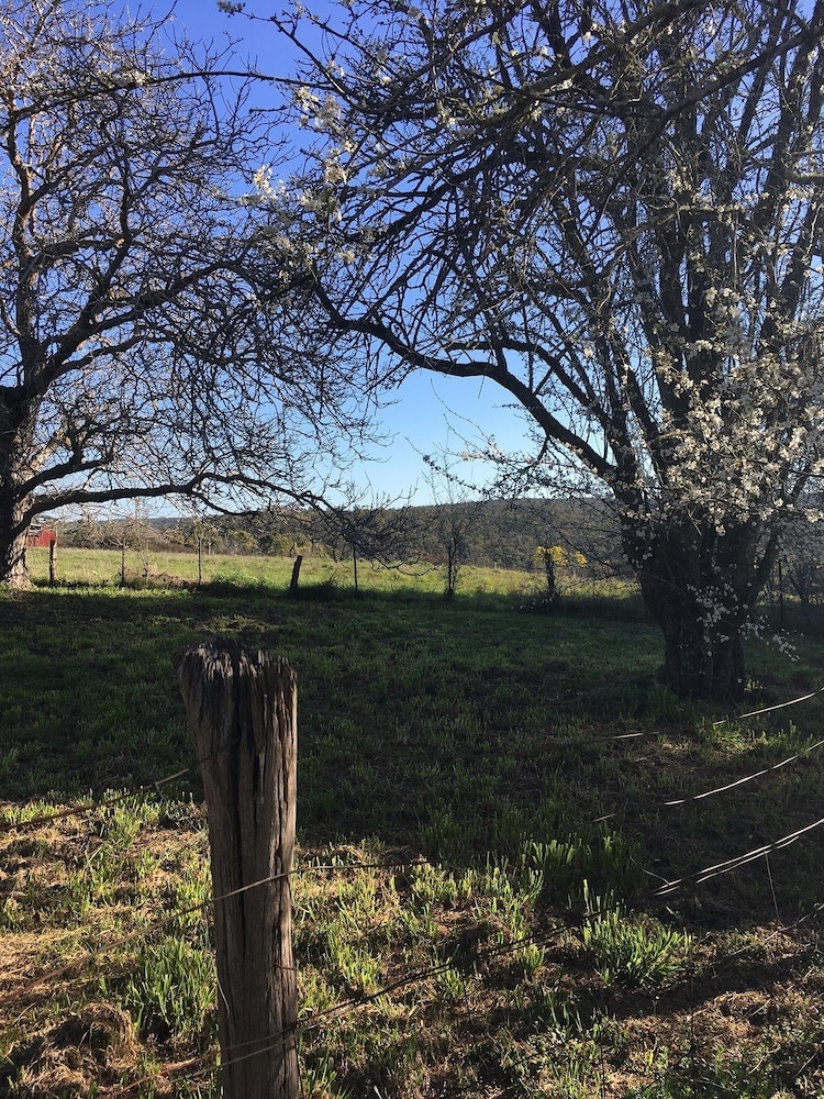 daylesford