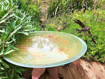 sutton spring art retreats