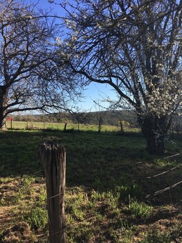 daylesford