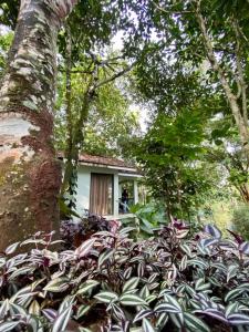 Willow Resorts,Manjoora>>Kolagappara,3 star