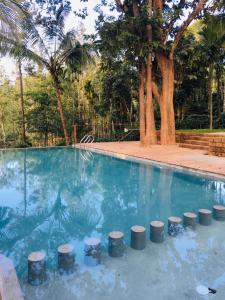 Willow Resorts,Manjoora>>Kolagappara,3 star