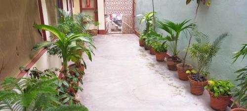 khushi paying guest house