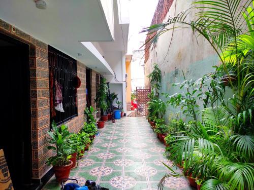 khushi paying guest house
