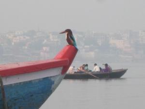 varanasi