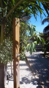 Pauline's Apartments Aruba,Eagle Beach>>Aruba,4 star